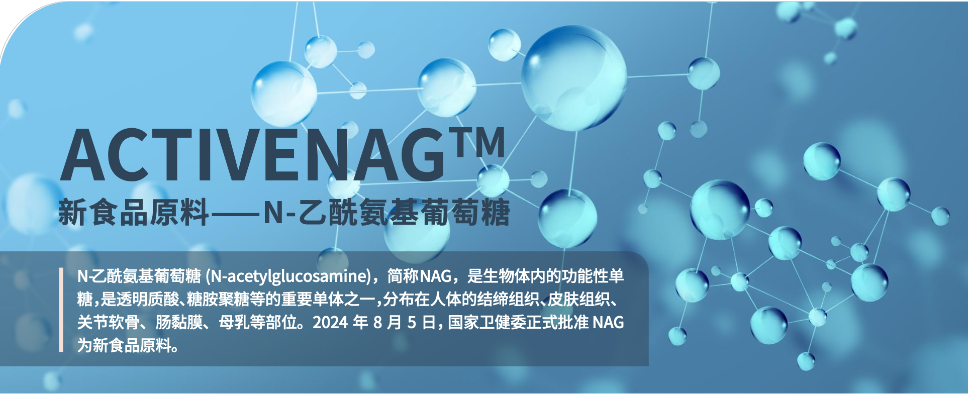 N-乙酰氨基葡萄糖 (N-acetylglucosamine)